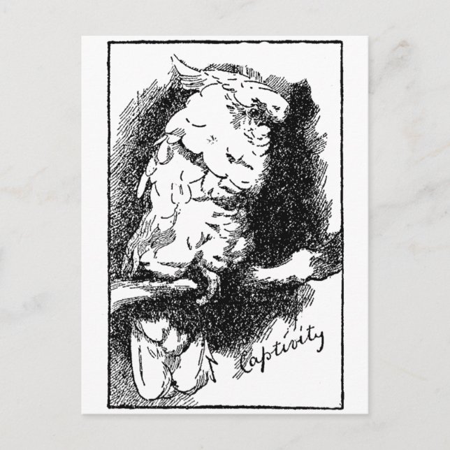 Kapacitet Vykort (Framsida)