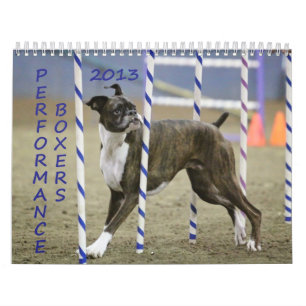 Kapacitetsboxarekalender 2013 kalender