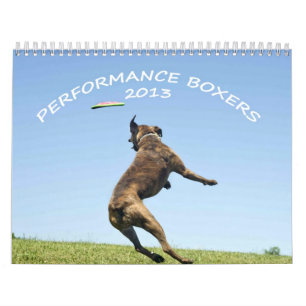 Kapacitetsboxarekalender 2013 kalender