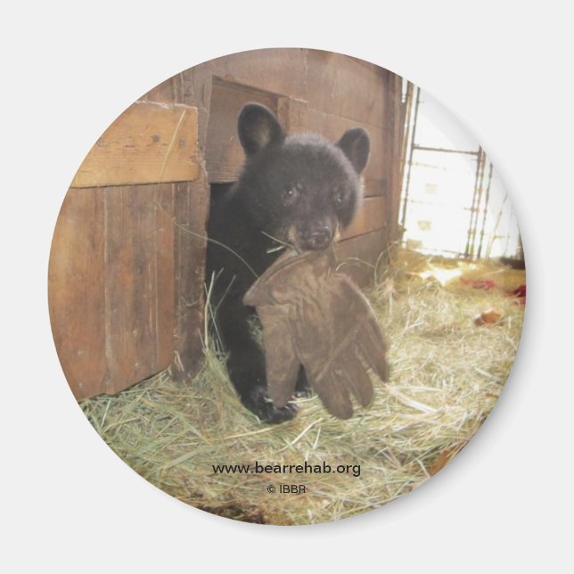 Kapalua with Glove - magnet (Framsidan)