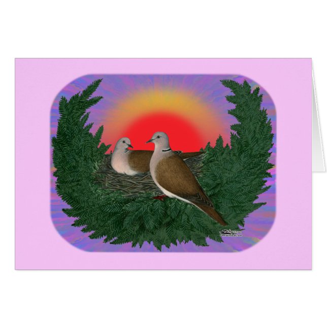 Kapande duvor OBS kort (Framsidan Horizontal)