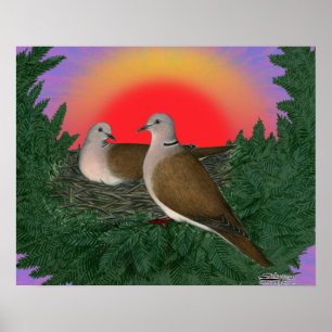 Kapande duvor poster
