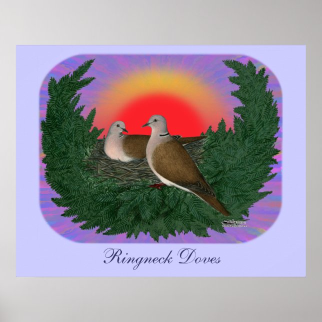 Kapande duvor poster (Framsidan)