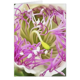 Kaper Flower Blommar Botanical Art Hälsningskort