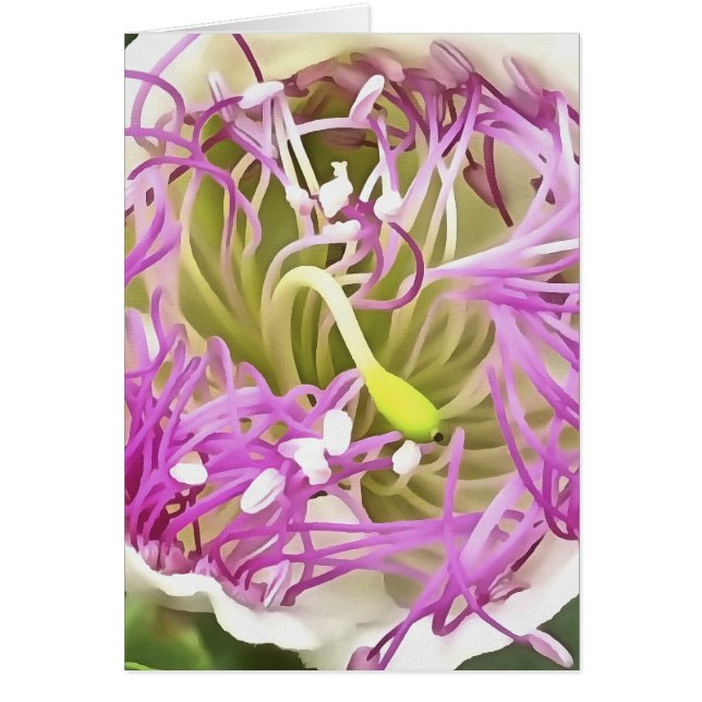 Kaper Flower Blommar Botanical Art Hälsningskort (Framsidan)