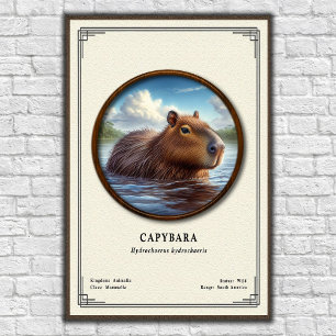 Kapibar Zoologisk Serie Poster