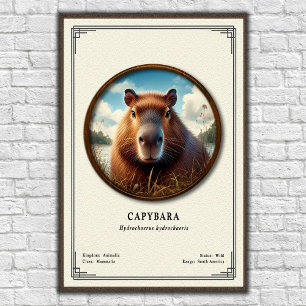 Kapibar Zoologisk Serie Poster