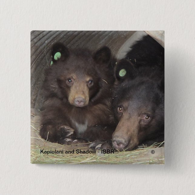 Kapiolani och Shadow - kvadrera knäppas Knapp (Framsida)