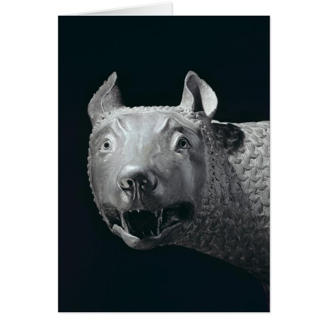 Kapitolien, hon-Varg Hälsningskort (Framsidan)