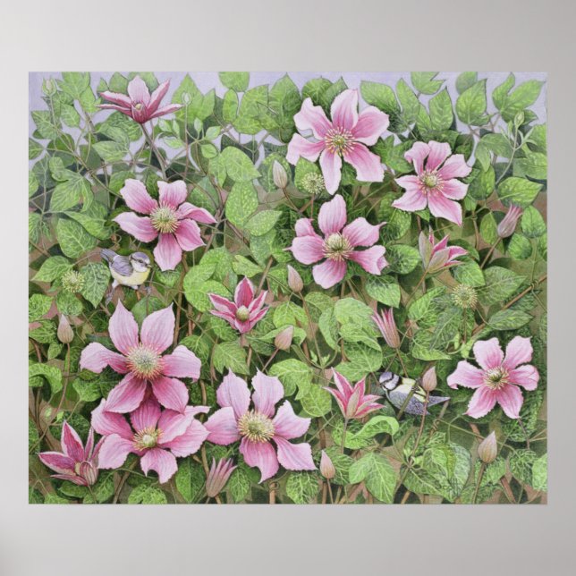 Kapning i Clematis Poster (Framsidan)