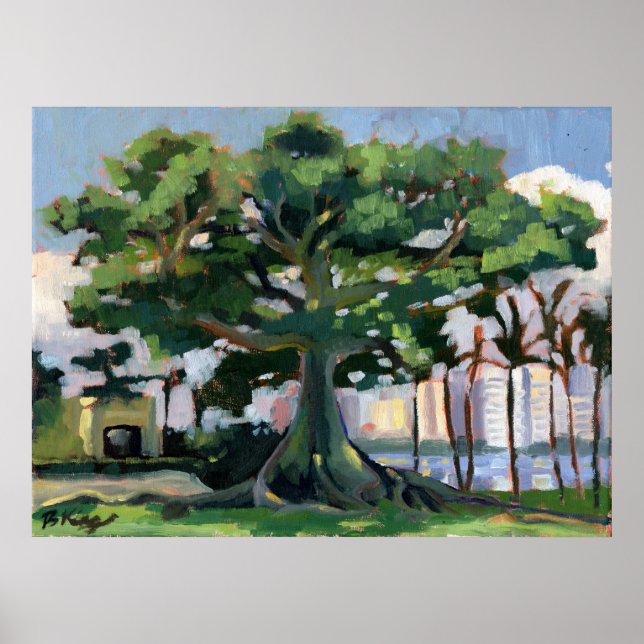 Kapok Träd poster (Framsidan)