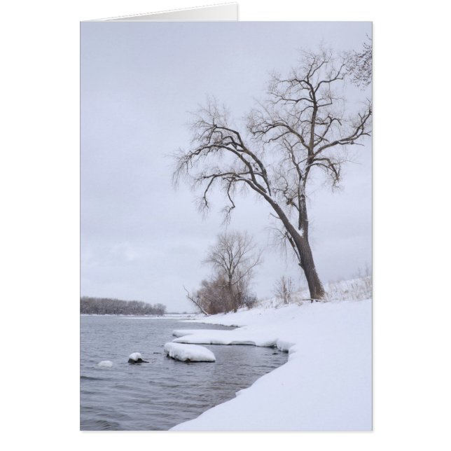 Kaposia Landing in Winter OBS Kort (Framsidan)