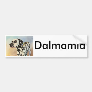 Käpp 1 bildekal