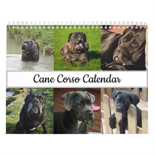 Käpp Corso Calendar Kalender (Omslag)
