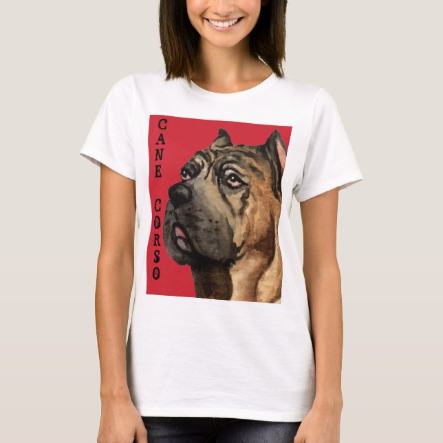 Käpp Corso Färg Block Tee Shirt (Framsida)