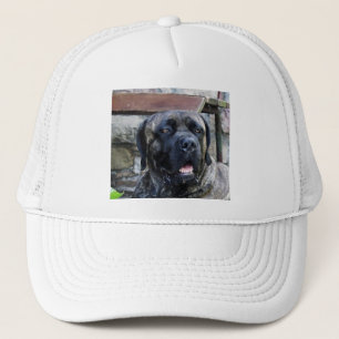 käpp corso grått brindle keps