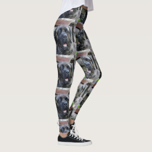 käpp corso grått brindle leggings