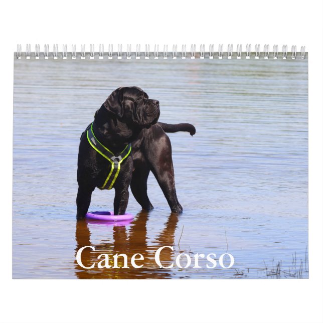 Käpp Corso Hund Calendar Kalender (Omslag)
