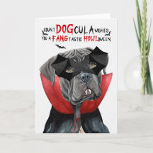 Käpp Corso Hund Funny Count DOGcula Halloween