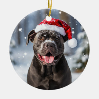 Käpp Corso Hund jultomte Julgransprydnad Keramik