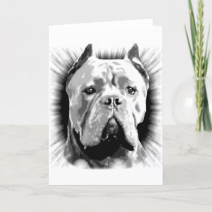 Käpp Corso Hund Kort