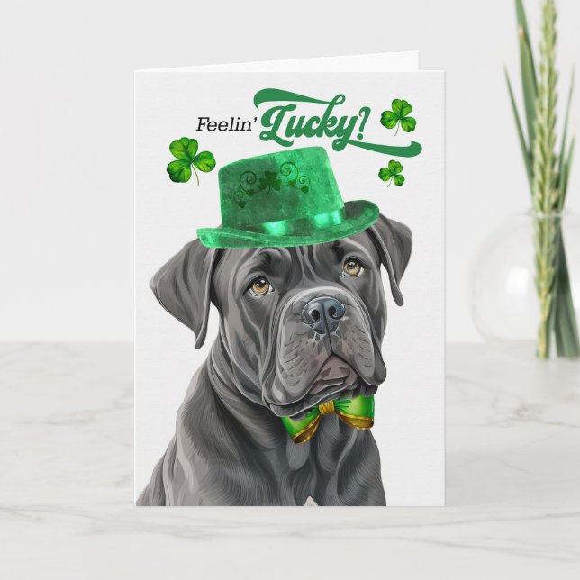 Käpp Corso Hund Lucky St patrick's day Helgkort (Framsida)