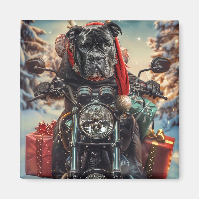 Käpp Corso Hund Riding Motorcle God jul Magnet (Framsidan)