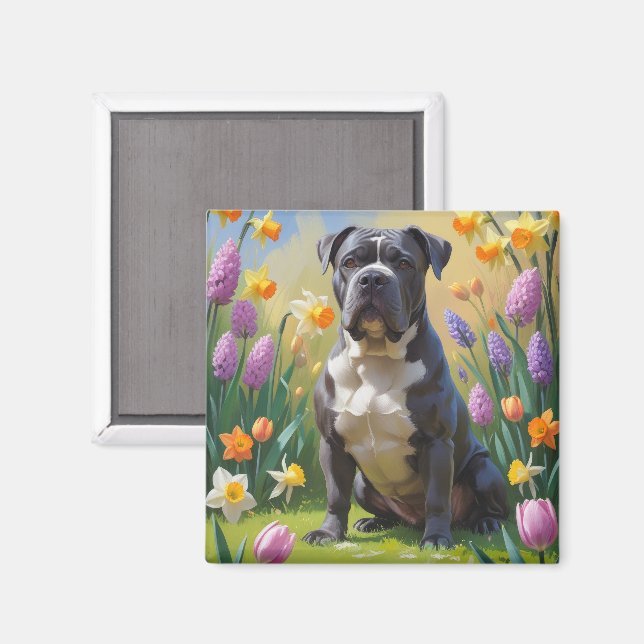 Käpp Corso Hund Vår blommor-målning Magnet (Front/Back)