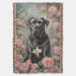 Käpp Corso Italiana Mastiff Filt