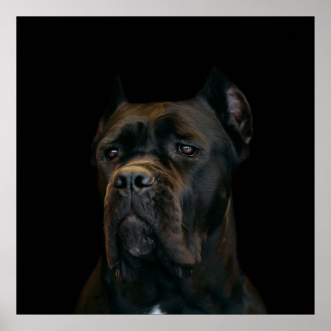 Käpp Corso - Italienska Mastiff Poster (Framsidan)