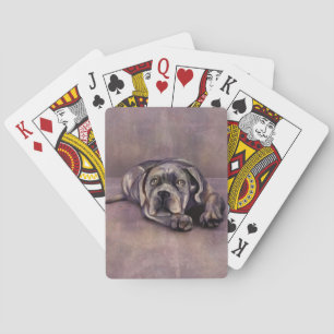 Käpp Corso - Italienska Mastiff Puppy Casinokort