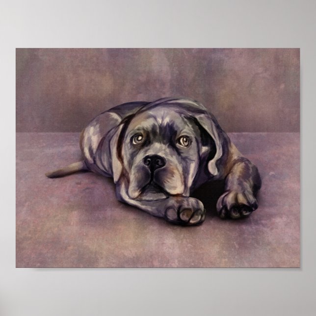 Käpp Corso - Italienska Mastiff Puppy Poster (Framsidan)