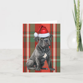 Käpp Corso Jul Hund Red Play-jul Helgkort