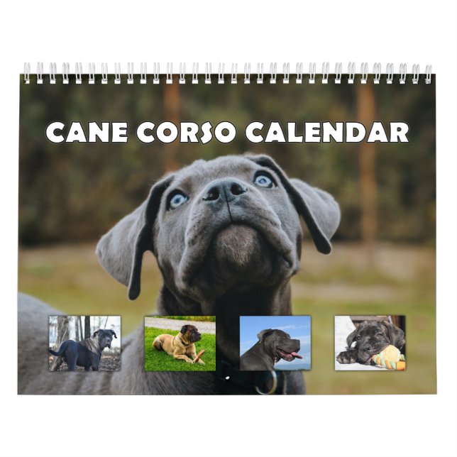Käpp Corso Kalender (Omslag)
