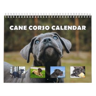 Käpp Corso Kalender