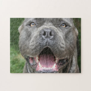 Käpp Corso Mastiff Hund Pussel
