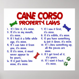 KÄPP CORSO PL2 POSTER