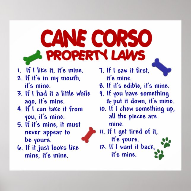 KÄPP CORSO PL2 POSTER (Framsidan)