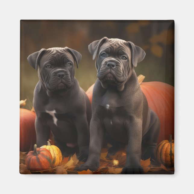 Käpp Corso Puppy Autumn Delight Pumpkin Magnet (Framsidan)