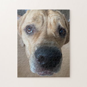 Käpp Corso Puzzle Pussel