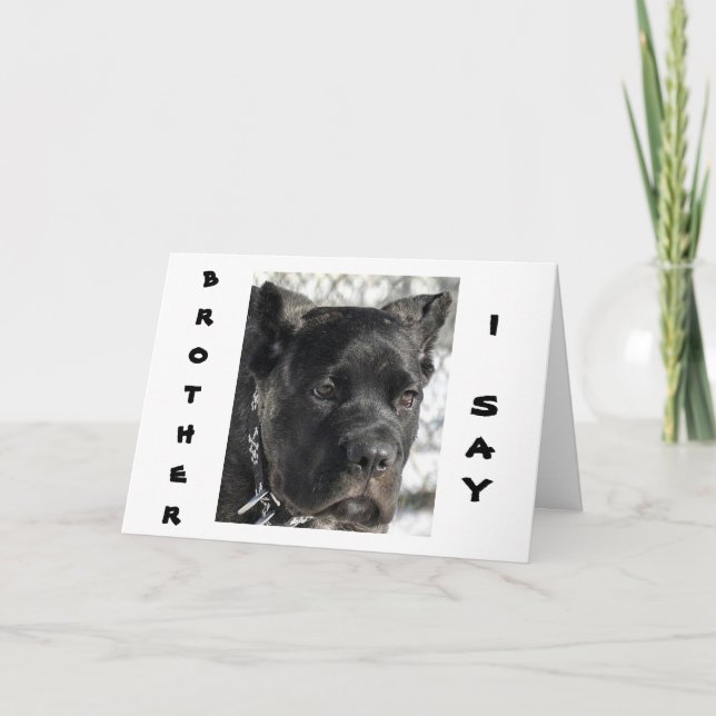 KÄPP CORSO VILL CELEBRATE BROTHER'S BIRTHDAY KORT (Framsida)