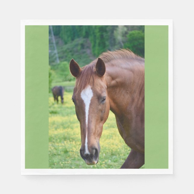 kapplöpning pappersservett (Framsidan)