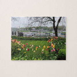 Kapporpoise (Seaside Tulips Cape Porpoise), Maine Pussel