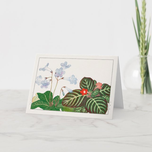 Kapprimrose, Flame violet av Tanigami Konan Kort (Framsida)