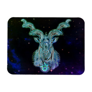 kapricorn zodiac magnet