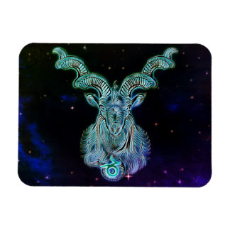 kapricorn zodiac magnet