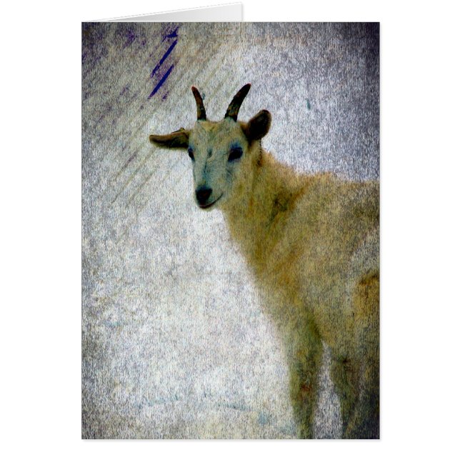 Kaprin Hälsningskort (Framsidan)