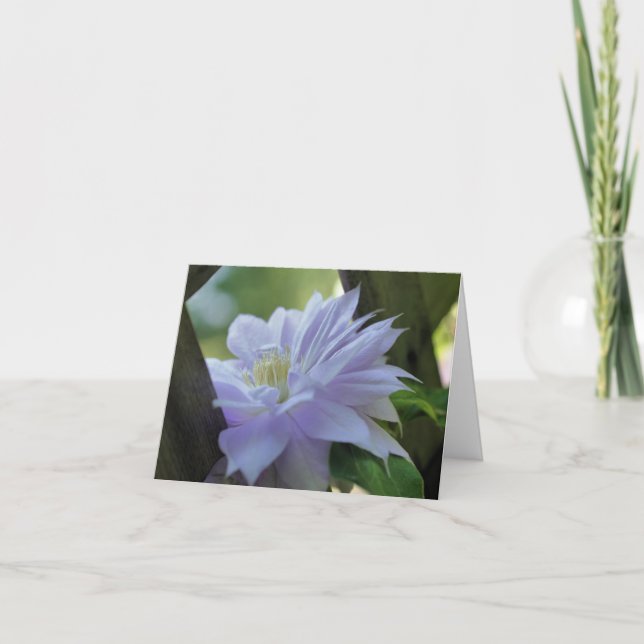 Kapriskt Clematis Blommfotografering  Anteckningskort (Framsida)