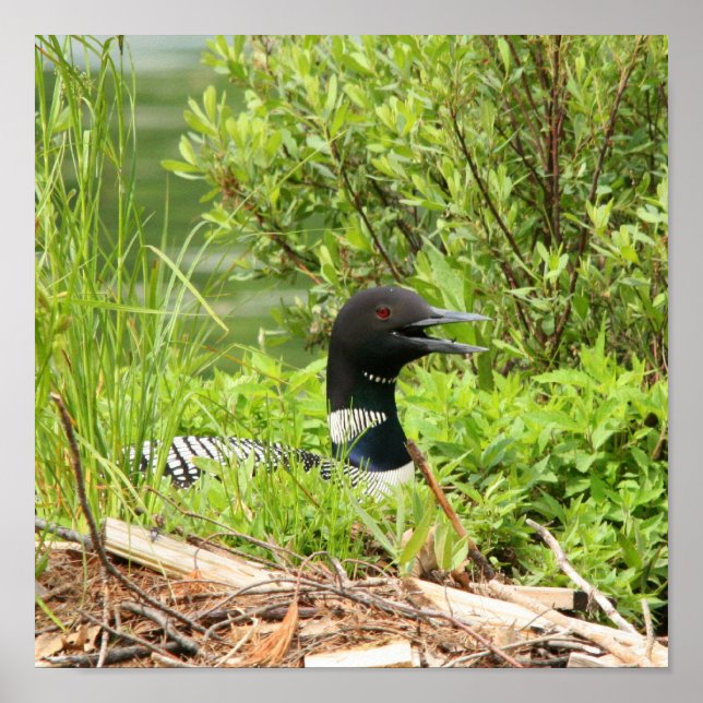 Kapsla Lock-utskrift Poster (Framsidan)