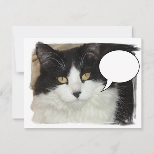 Kapslad moms (Framsida)